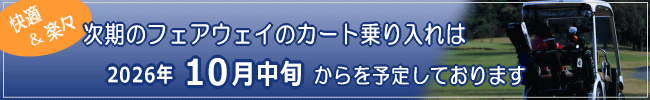 �t�F�A�E�F�C �J�[�g�����ꍡ���I���B