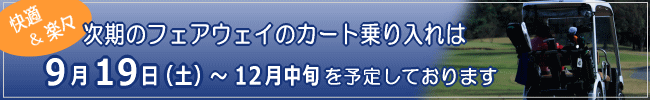 �t�F�A�E�F�C �J�[�g�����ꍡ���I��